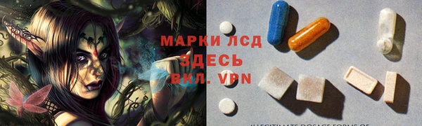 ГАЛЛЮЦИНОГЕННЫЕ ГРИБЫ Гусиноозёрск