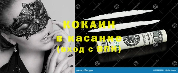 стафф Гусев