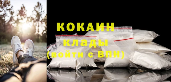 стафф Гусев