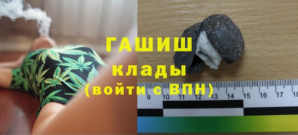 стафф Гусев