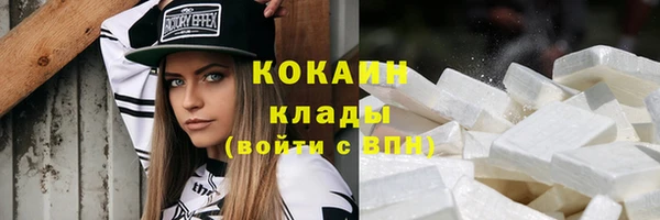 стафф Гусев