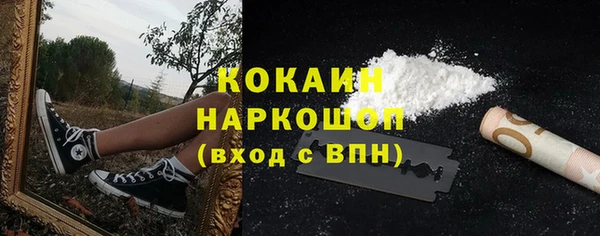 стафф Гусев