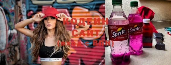 стафф Гусев