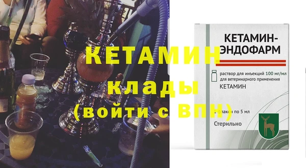 стафф Гусев