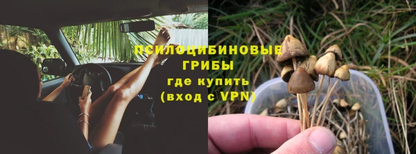 a pvp Гусь-Хрустальный
