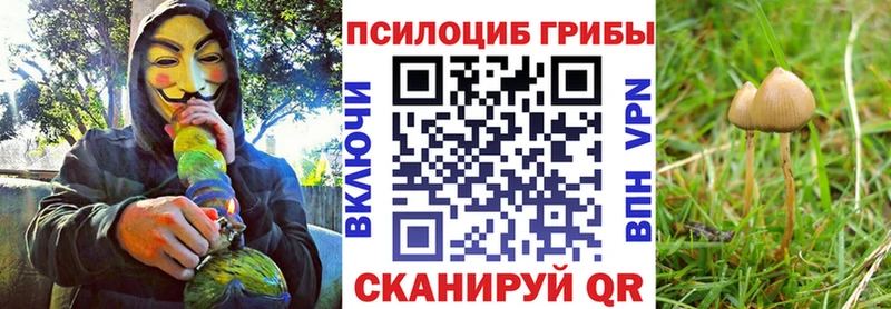Псилоцибиновые грибы MAGIC MUSHROOMS купить цена ссылка на мегу сайт Махачкала